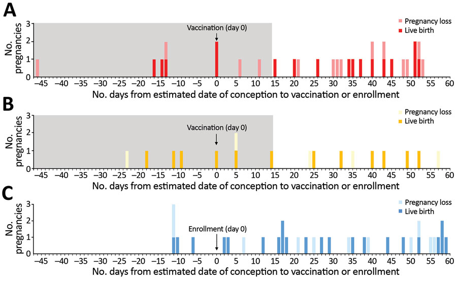 Number of pregnancies by estimated date of conception relative to vaccination or enrollment among 81 participants in the Sierra Leone Trial to Introduce a Vaccine against Ebola (STRIVE). A) Immediate vaccination group (n = 31). B) Deferred crossover vaccination group (n = 17). C) Unvaccinated group (n = 33). Because pregnancy outcome for 3 of the 84 women unknown, these 3 women are not included in the figure. Outcomes include live birth (term and preterm) and pregnancy loss (early and late loss)