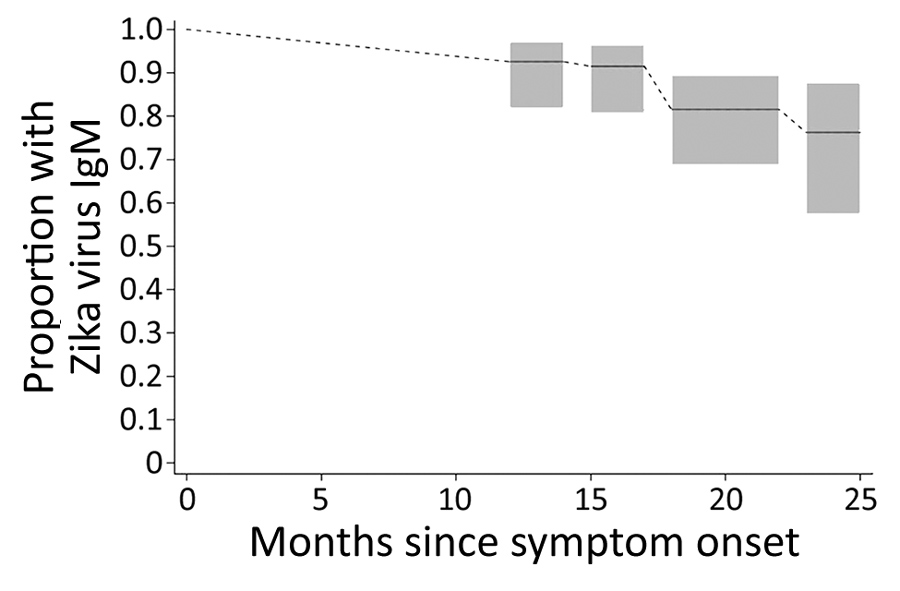 Estimated proportion of persons with detectable Zika virus IgM up to 25 months after symptom onset among persons with PCR-confirmed Zika virus disease, Miami-Dade County, Florida, USA. Detectable Zika virus IgM was defined as a positive or equivocal result on IgM capture ELISA. Interval-censored nonparametric survival analysis probability estimates and 95% CIs (gray boxes) are shown.