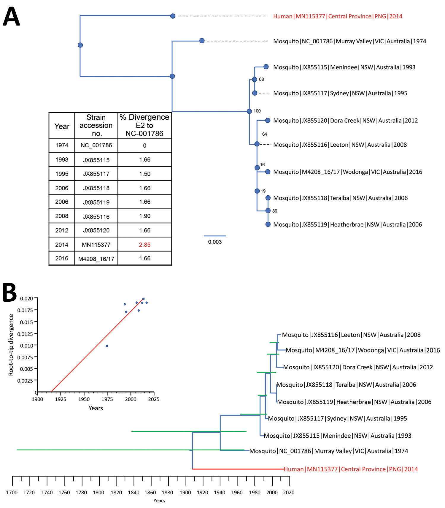 Phylogenetic relationships between 9 full-length (1,263 nt) Barmah Forest virus (BFV) envelope (E) protein genes. A) Maximum-likelihood phylogenetic tree constructed from 8 full-length Australia BFV E2 (blue) and a BFV E2 from an isolate from a child in Papua New Guinea (red) by using the best-fit nucleotide substitution model in IQ-Tree version 1.5 (11). Bootstrap values were estimated by using 1,000 replicates; percentages are indicated on branch nodes. Inset table shows E2 nucleotide divergen