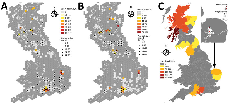 Results for deer serum samples and ticks tested for tick-borne encephalitis virus, United Kingdom. A, B) Number of samples tested and seroprevalence of samples positive by ELISA (A) and HAI (B). C) Number of ticks tested by county; inset shows magnification of testing area with ticks positive by real-time reverse transcription PCR. HAI, hemagglutination inhibition. Source: Ordnance Survey data, © Crown copyright and database right 2019; and National Statistics data, © Crown copyright and databas