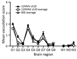 Thumbnail of Vacuolation profiles of a clinical case of vCJD in a prion protein gene codon 129MV individual, pooled data from UK 129MM cases (n = 7) and pooled data from UK bovine spongiform encephalopathy cases (n = 8) show similarities in vacuolar pathology intensity and distribution in wild-type mouse brains. Data show mean ± SEM of clinical and pathological positive mice (n≥6 per group). G1–G9, gray matter scoring regions: G1, medulla; G2, cerebellum; G3, superior colliculus; G4, hypothalamu