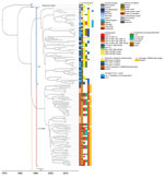 Thumbnail of Phylogenetic time tree showing the separation between the historical, EU, and LA clades. Gray brackets indicate historical clades; blue brackets, EU clades; orange brackets, LA clades. Tips in the tree are aligned to the year of isolation of the strains. Nodes are dated in the x-axis as estimated by BEAST (43). Arrow indicates the node and year of separation between EU and LA clades around 1987. *Sample from a turkey imported from Israel. †Undefined sample material. ‡Plasmids are in