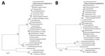 Thumbnail of Phylogenetic analyses of (A) hemagglutinin and (B) neuraminidase gene sequences of influenza A(H1N1)pdm09 (A/giant panda/Hong Kong/MISO20/2018) isolated from a giant panda in Hong Kong, China (bold), and other previously characterized strains retrieved from GISAID. The trees were constructed by the neighbor-joining method using Kimura 2-parameter in MEGA6 (http://www.megasoftware.net). A total of 1,691 nt positions in hemagglutinin and 1,404 in neuraminidase genes were included in t