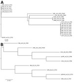 Thumbnail of Maximum-likelihood trees of genes from carbapenem-resistant Klebsiella pneumoniae isolates, Singapore, 2013–2015. A) Analysis generated using 63,297 single-nucleotide polymorphism sites in the core genome. The chromosomal sequence of SGH10 (GenBank accession no. CP025080) was used as reference. Isolates are closely related to hypervirulent strains SGH10 and CG43. Scale bar indicates number of single-nucleotide polymorphisms. B) Analysis generated from the alignment of K. pneumoniae 