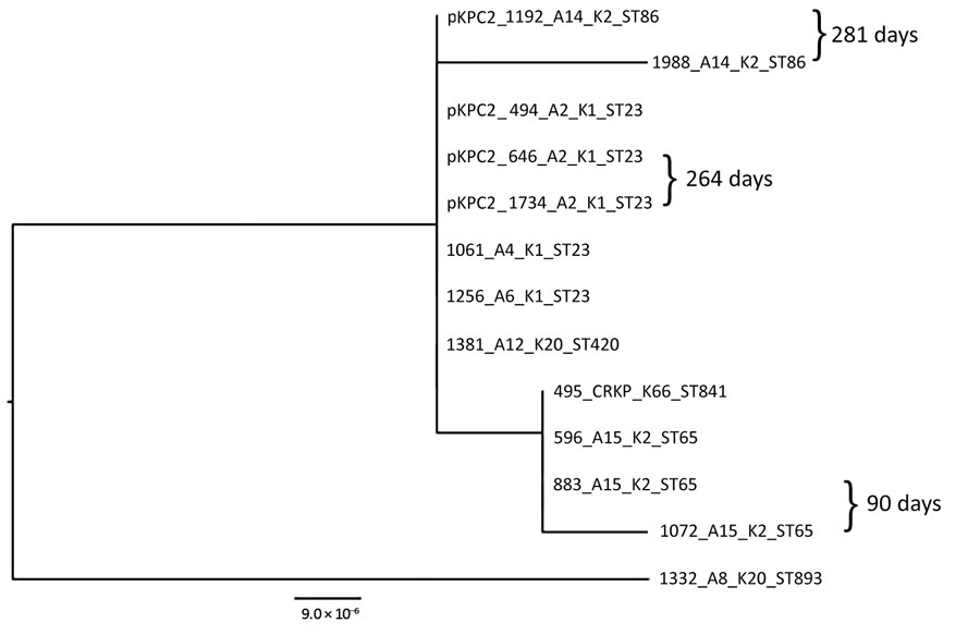 Maximum-likelihood analysis of pKPC2 plasmids from carbapenem-resistant hypervirulent Klebsiella pneumoniae isolates, Singapore, 2013–2015. pKPC2_494 was used as reference. Labels indicate isolate no._patient no._K serotype_sequence type. Days between isolate collection are indicated. Scale bar indicates nucleotide changes per base pair. KPC, Klebsiella pneumoniae carbapenemase; ST, sequence type.