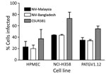 Thumbnail of Evaluation of entry of VSVΔG-RFPs (vesicular stomatitis virus in which the envelope glycoprotein G gene is replaced with the red fluorescent protein gene) pseudotyped with the surface glycoproteins of NiVs CSUR381 (Cambodia 2003 isolate), UMMC1 (NiV-Malaysia isolate), and SPB200401066 (NiV-Bangladesh isolate) in different cell types. Infections of HPMEC, NCI-H358 (human bronchioalveolar cells), PATGV1.12 (bat cells), and Vero cells were performed at a multiplicity of infection of 0.