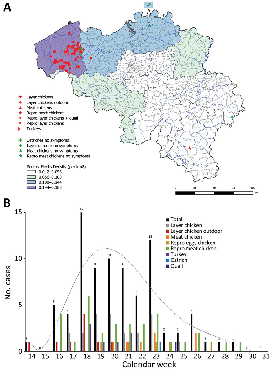 Viral presence in birds during experimental infection with avian influenza (H3N1) isolated from poultry in Belgium, 2019. The individual excretion values are shown (different patterns in circles and diamonds correspond to individual birds) in addition to the average group value ± SDs (error bars). Asterisks (*) indicate statistically relevant differences between time points, groups, or organs, p&lt;0.05. Note: for diluted viral isolates the correspondence between log10 (no. copies/mL) and log10 