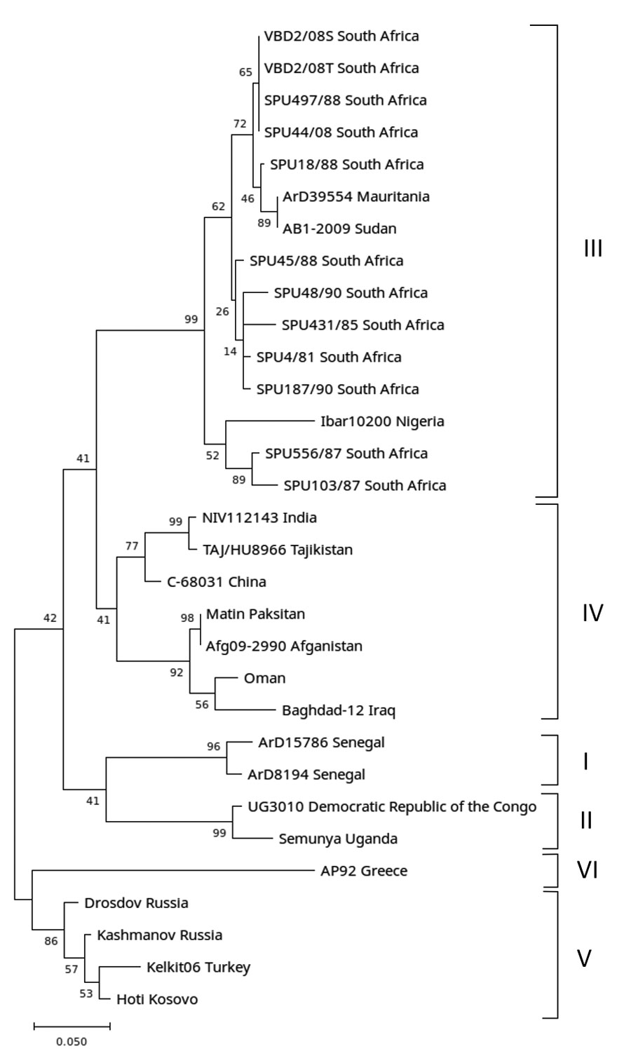 Detection of Crimean-Congo hemorrhagic fever virus (CCFFV) from a retrospectively tested human serum sample that was among those collected during 2008–2011 from acutely ill patients with suspected rickettsial infection, South Africa. Phylogenetic tree was constructed using a 186-bp region of the CCHVF small gene encoding the nucleoprotein sequence. Nucleotide data was obtained in the study for samples designated VBD2/08S (serum-derived), VBD 2/08T (tissue-derived), and retrieved from GenBank for