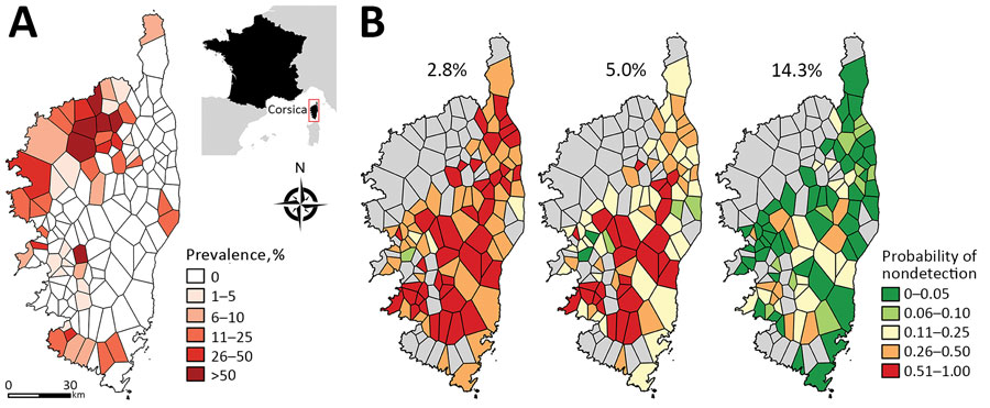 Prevalence and probability of nondetection of antibody against Crimean-Congo hemorrhagic fever virus (CCHFV) in ruminants, Corsica, France, 2014–2016. A) Spatial variability of CCHFV antibody prevalence. Inset indicates location of the island of Corsica in relation to France. B) Probability of nondetection of CCHFV antibody in areas where estimated prevalence was null. Three different probabilities were estimated in accordance with different assumptions of the estimated true seroprevalence, corr
