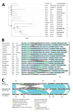Thumbnail of Comparison of pVIR-Kpn2166 and pVIR-Kpn154 Klebsiella pneumoniae isolates from 2 patients in France (bold) with 16 hypervirulent K. pneumoniae virulence plasmids recovered from the PATRIC database (http://www.patricbrc.org). A) Single-nucleotide polymorphism–based phylogenetic tree built by RaxML from an alignment generated by Burrows-Wheeler Aligner and filtered to remove recombination using Gubbins as previously described (9). The ST and the geographic origin of bacterial hosts ar