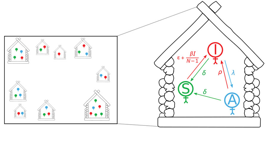 Graphic representation of the model being used for yaws transmission. Each house shape indicates a household, and the number of shapes inside each indicates number of persons. Each person is either susceptible (S, green), infectious (I, red), or asymptomatic (A, blue). Close-up image at right shows details of model parameters (see Tables 1, 2).