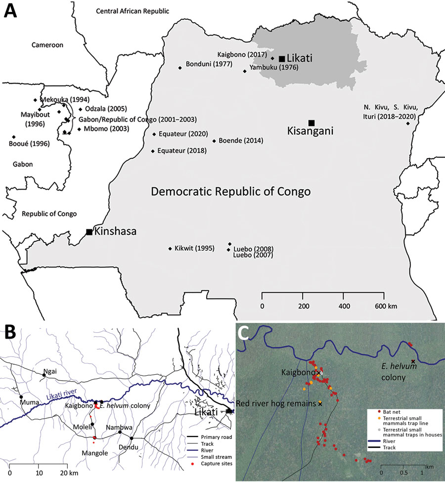 Locations of human Ebola virus (EBOV) outbreaks in Central Africa and capture site of potential wildlife reservoirs in study of role of wildlife in emergence of Ebola virus, Democratic Republic of the Congo, 2017. A) Reported human EBOV outbreaks in central Africa. Diamonds indicate the approximate locations where each outbreak started. Outbreak year(s) are shown in brackets. Bas-Uele province is highlighted in dark gray. B) Overview of the area where the 2017 EBOV outbreak occurred (Likati Heal