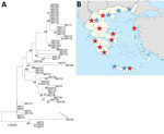 Thumbnail of Investigation of Q fever endocarditis, Greece. A) Neighbor-joining tree of Coxiella burnetii genotypes determined by multispacer sequence typing. Analysis was performed by using MEGA version 7 software (https://www.megasoftware.net) and the neighbor-joining method (maximum composite likelihood method) with 1,000 replicates. Numbers along branches are bootstrap values. Arrow indicates new genotype from Greece. Scale bar indicates nucleotide substitutions per site. B) Seroepidemiologi