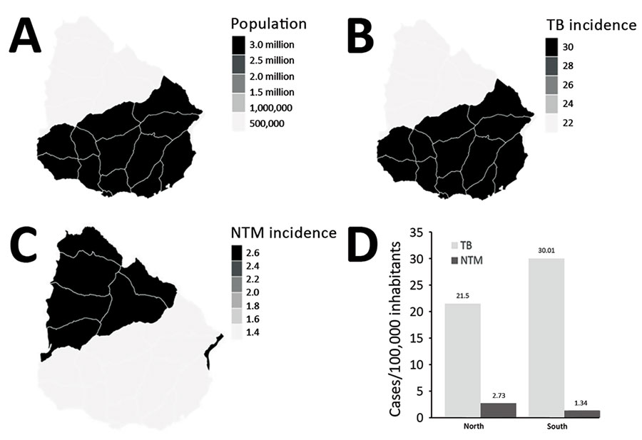 Distribution of cases of tuberculosis and nontuberculous mycobacteria by region and population density in 2018, Uruguay. A) Population density of north versus south regions of Uruguay. B) Incidence of TB cases in 2018. C) Incidence of NTM cases in 2018. D) TB and NTM incidence by region. Even though the population density in the north is much lower than that in the south, the north has a higher incidence of NTM than the south. NTM, nontuberculous mycobacteria; TB, tuberculosis.