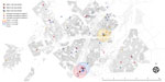 Thumbnail of Potential spatial relationships (residence within 1 km of another patient) between patients with mixed-strain infection and with other genotype-clustered strains, Gaborone, Botswana, 2012–2016. Shown are location of patients with mixed Mycobacterium tuberculosis infection and other genotype-clustered cases in Gaborone. Each color represents each genotype cluster. The 1-km radius blue-shaded area from each mixed infection patient shows the neighborhood boundary. Three patients with m