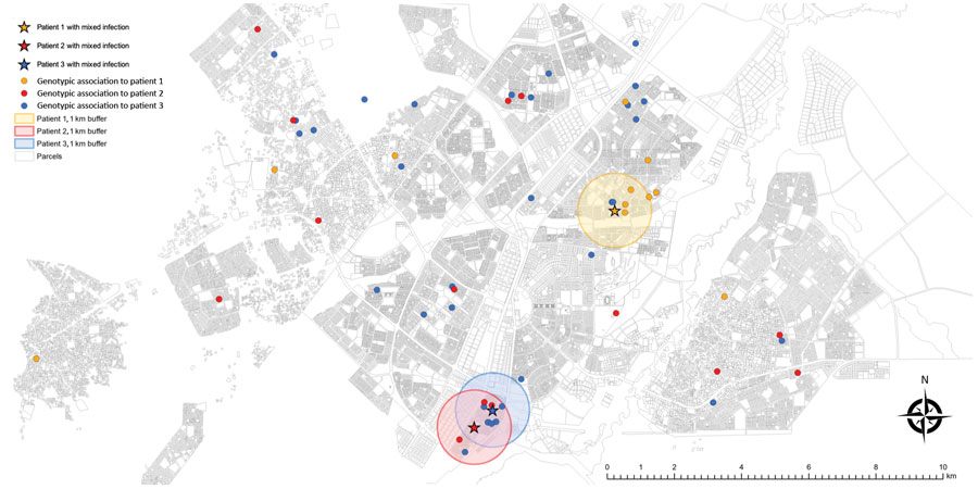 Potential spatial relationships (residence within 1 km of another patient) between patients with mixed-strain infection and with other genotype-clustered strains, Gaborone, Botswana, 2012–2016. Shown are location of patients with mixed Mycobacterium tuberculosis infection and other genotype-clustered cases in Gaborone. Each color represents each genotype cluster. The 1-km radius blue-shaded area from each mixed infection patient shows the neighborhood boundary. Three patients with mixed infectio
