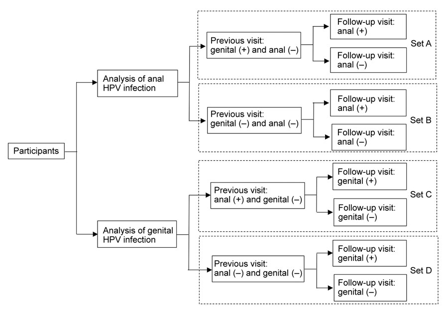 Study sets for assessment of risk for sequential genital and anal HPV infection after infection of the other site among men and women, Liuzhou, China. HPV, human papillomavirus.