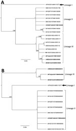 Phylogenies based on 17 complete BFV E2 sequences (1,263 bp) (A) and twelve 3′ untranslated region sequences (B) classify Barmah Forest virus isolates into 3 distinct lineages. We used Bayesian phylogenetic analysis method in Geneious version 11.2 (https://www.geneious.com) to analyze the aligned E2 and 3′ untranslated region sequences, applying the Hasegawa-Kishino-Yano plus gamma substitution model with a gamma molecular clock model of uniform branch lengths, a chain length of 1 million, and a 10% burn-in length. The naming convention of the strains is name of host/strain/year of isolation/GenBank accession number. Scale bar indicates the length of the branches of each tree. H, humans; M, mosquitoes; BM, biting midges.