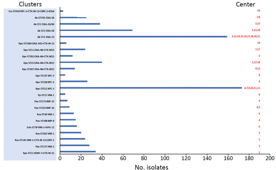 Characteristics of clusters of carbapenemase-producing gram negative bacteria, Andalusia, 2014–2018. Hospitals are identified by number: Almería ,1, 2, 5; Cádiz, 7, 8, 9; Córdoba, 6, 11, 12; Granada, 4, 13; Huelva, 20; Jaén, 10, 21; Málaga, 17, 18, 19; Sevilla, 3, 14, 15, 16. Ab, Acinetobacter baumannii; CTX-M, Cefotaximase-Munich; Eclo, Enterobacter cloacae; IMP, imipenemase; Kox, Klebsiella oxytoca; KPC, Klebsiella pneumoniae carbapenemase; Kpn, Klebsiella pneumoniae; MBL, metallo-β-lactamases
