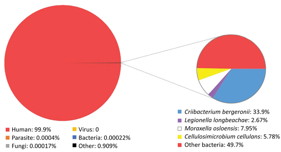 Analysis of metagenomic next-generation sequencing result from a patient with Legionella longbeachae. Total reads distribution is on the left; percentage distribution of bacterial reads is shown on the right.