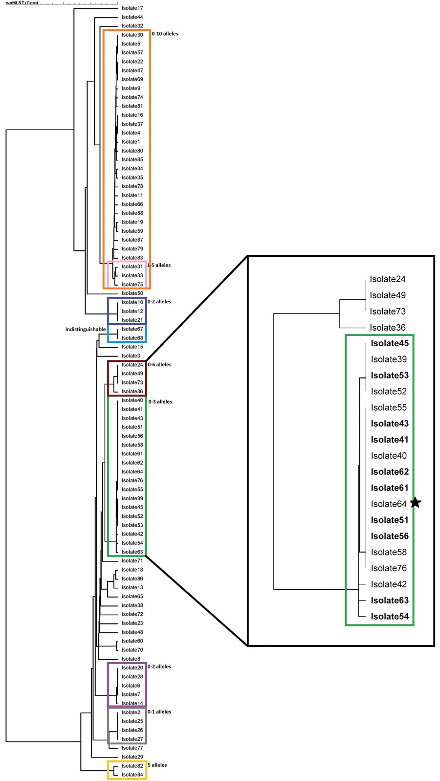 Phylogenetic tree for Salmonella enterica serotype Enteritidis isolates from outbreak in Massachusetts, USA, 2018. The colored boxes on the left indicate 9 separate subclusters for the entire 84-isolate cluster, with confirmation of allele differences coming from PulseNet (https://www.cdc.gov/pulsenet/index.html). Eight subclusters yielded no epidemiologic data, resulting in the closure of those clusters. The ninth subcluster, in the green box (right), contains the isolates associated with the r