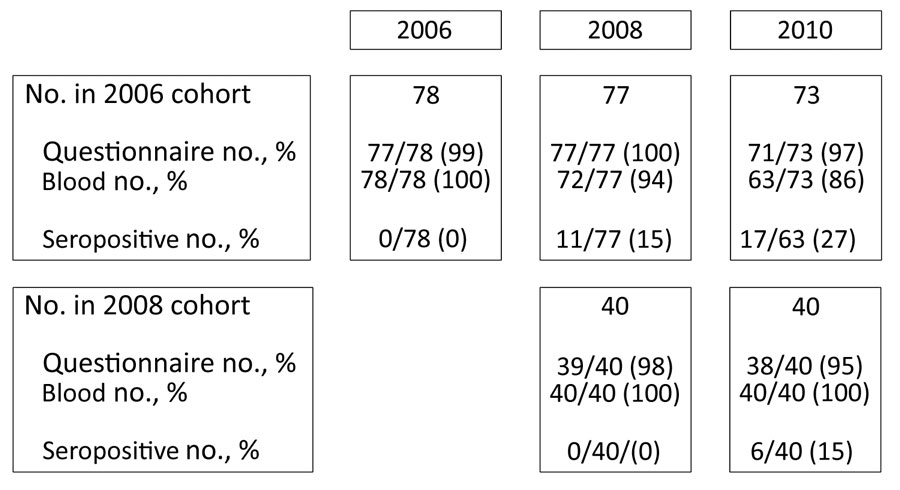Follow-up timeline illustrating number and percentages of seronegative participants at baseline, per follow-up moment, in study of Coxiella burnetii seroconversion rate in veterinary students, the Netherlands, 2006–2010. The 17 seropositive students in 2010 include the 11 students who already seroconverted during 2006–2008 and were censored from risk factor analysis in 2010.