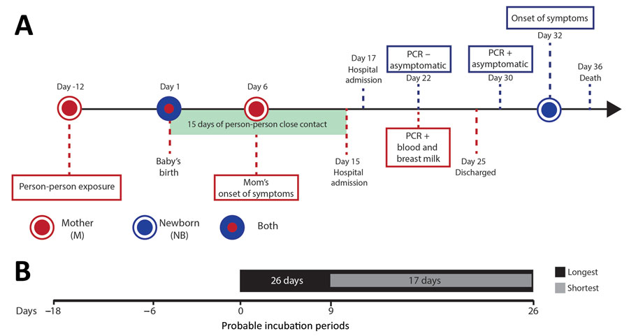 Epidemiologic timeline for mother-to-child transmission of Andes virus through breast milk, Chile. A) Key epidemiologic events related to the mother (represented by M, red circles and lines) and the newborn (NB, blue circle and lines). Blue-and-red circle represents the birth of the newborn; light green rectangle represents the 15 days of close contact that included breastfeeding. We show details for the baby above the time bar and details for the mother below the time bar.  B) Longest (black ba