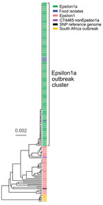Thumbnail of Phylogenic tree constructed by using unweighted pair group method with arithmetic mean and core genome multilocus sequence typing data of Listeria monocytogenes isolates from a large listeriosis outbreak, Germany. Green indicates clinical isolates of Epsilon1a subcluster; blue indicates food isolates of Epsilon1a subcluster; pink indicates isolates from the Epsilon1 cluster; violet indicates 2 complex type 4465 isolates not belonging to Epsilon1a from earlier listeriosis cases in Ju