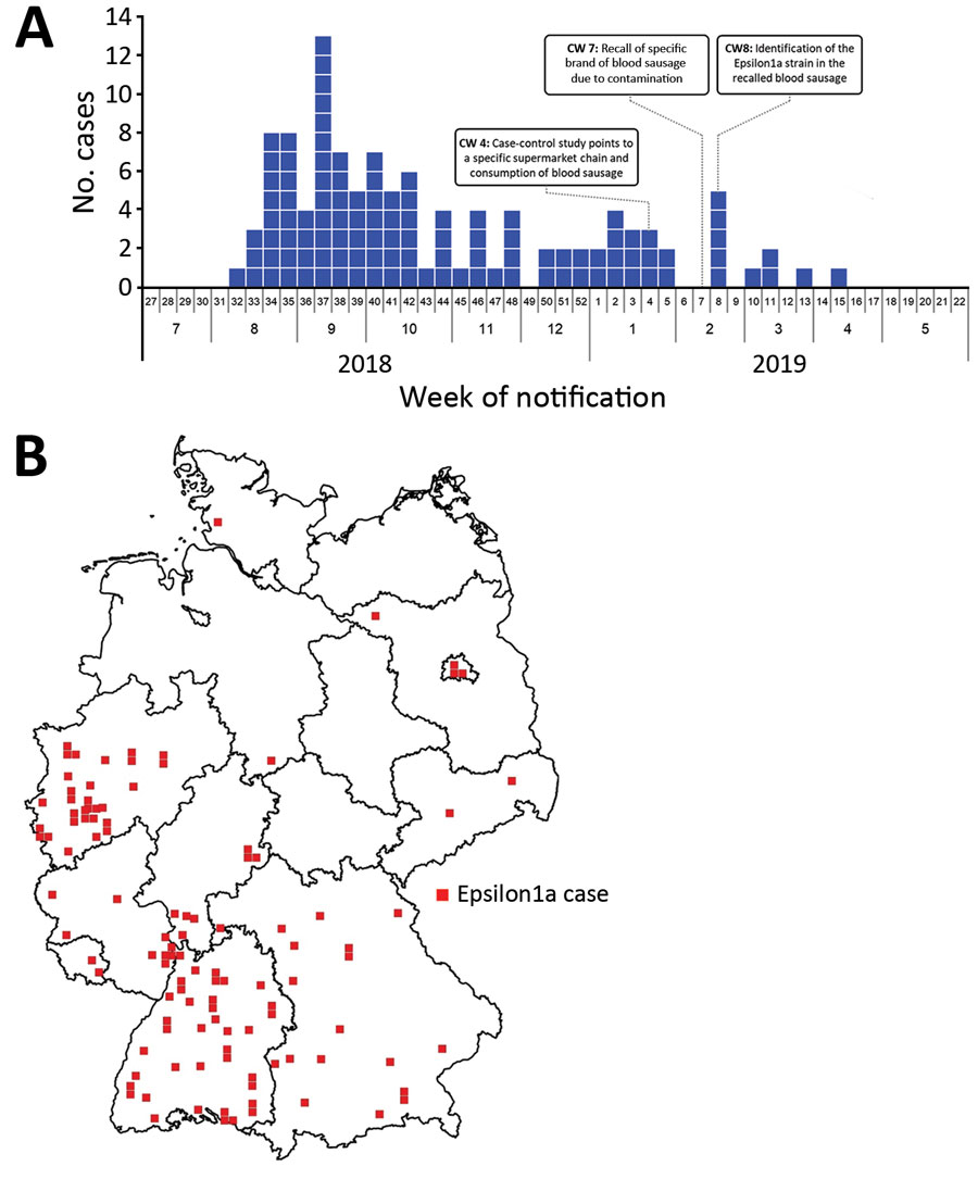 Spatial and temporal distribution of cases during a large listeriosis outbreak, Germany. A) Number of Listeria monocytogenes isolates from subcluster Epsilon1a received by the consulting laboratory per week during the outbreak. B) Geographic distribution of laboratory-confirmed Epsilon1a cases in Germany during the outbreak. CW, calendar week.