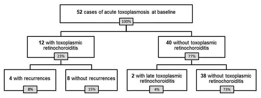 Flowchart of patients in study of ocular involvement associated with a presumed waterborne toxoplasmosis outbreak, Brazil.