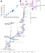 Thumbnail of Time-scaled evolution of influenza A(H7N9) viruses, China. A) Analysis of root-to-tip divergence against sampling date for the hemagglutinin gene segment (n = 189). B) Maximum clade credibility tree of the hemagglutinin sequence of H7N9 viruses sampled in China (n = 189); the H7N9 viruses collected in this study are highlight in red. Asterisk indicates viruses from a human with H7N9 infection within sublineage B during March 2019. Shaded bars represent the 95% highest probability di
