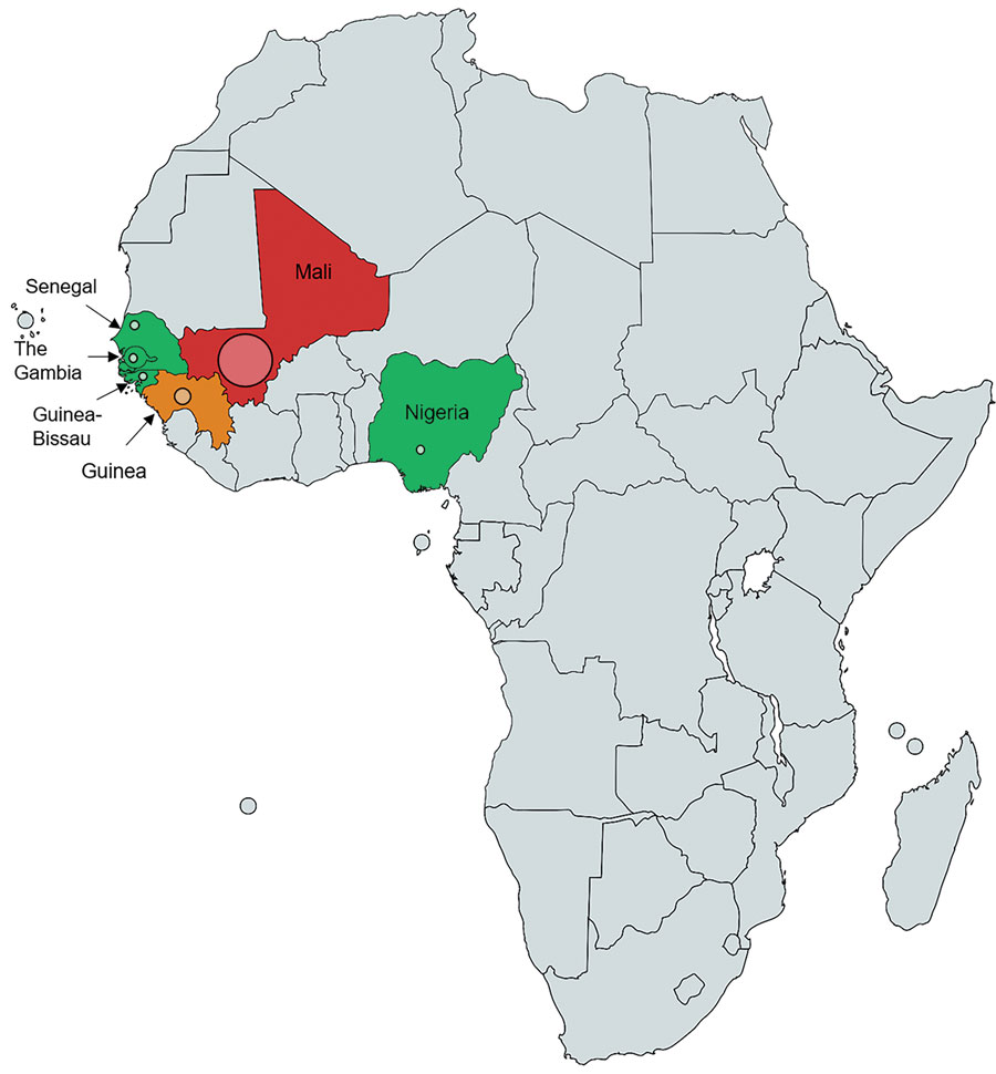 Geographic distribution of 13 patients infected by Nannizziopsis obscura in West Africa. The different colors represent the number of cases in each country: red for 7 cases, orange for 2 cases, and green for only 1 reported case. The diameter of the circle indicated for each country is proportional to the number of cases reported.