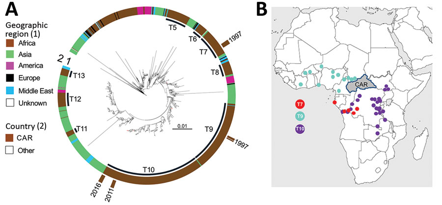 Phylogenomics of the Vibrio cholerae O1 El Tor isolates from CAR, 1997–2016. A) Maximum-likelihood phylogeny for 1,215 7PET genomic sequences. A6 was used as an outgroup. The last 9 sublineages introduced into Africa (T5–T13) are indicated. On inner ring, color scale denotes geographic locations of the V. cholerae isolates. On outer ring, brown denotes isolates from CAR. Tree branches containing isolates from CAR are shown in red. Scale bar indicates substitutions per variable site. B) Locations on the African continent in which T7, T9, and T10 V. cholerae O1 serotype Inaba isolates were detected before their identification in CAR. CAR, Central African Republic.