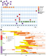 Thumbnail of Cluster of COVID-19 cases associated with a shopping mall in Wenzhou, China. A) Distribution of COVID-19 case-patients by mall floor, time, and internal relationship. B) Dates of symptom onset, confirmed test results, and hospitalization information. Numbers within yellow bars indicate length of incubation period. Black vertical arrow indicates date when patient A returned from Wuhan, China. B1–7, mall floors; C, customer; COVID-19, coronavirus disease; Ct, cycle threshold; T, date 