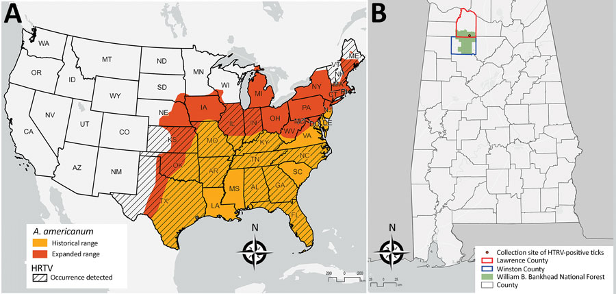 Distribution of HRTV and range of Amblyomma americanum ticks. A) Geographic distribution of Heartland virus, United States, 2009–2020 (1,2) with historical and expanded range of A. americanum ticks adapted from (4). B) Location of the William B. Bankhead National Forest within Lawrence and Winston Counties, Alabama, and collection site of the HRTV-positive A. americanum nymphs. All maps were created by using ArcGIS Pro 2.5 (ESRI, https://www.esri.com/en-us/home). HRTV, Heartland virus.