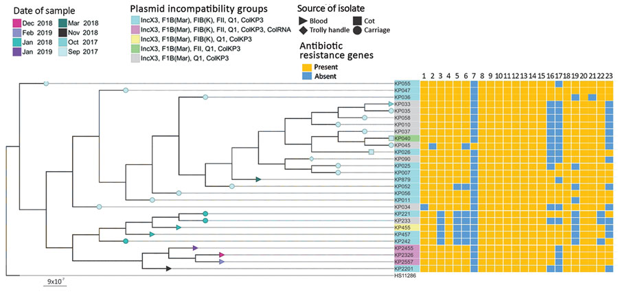 Phylogenetic tree of 28 carbapenemase-producing Klebsiella pneumoniae isolates and their acquired resistance genes from the neonatal intensive care unit at Korle-Bu Teaching Hospital, Accra, Ghana, 2017–2019. The tree was produced by analysis of single-nucleotide polymorphisms (SNPs) of core genomes. Maximum genetic distance was between isolates KP2201 and KP026, which differed by 32 SNPs. Tree used genome of K. pneumoniae reference strain HS11286 as outgroup. Lane 1, rmtB; lane 2, aph(3")-lb; l