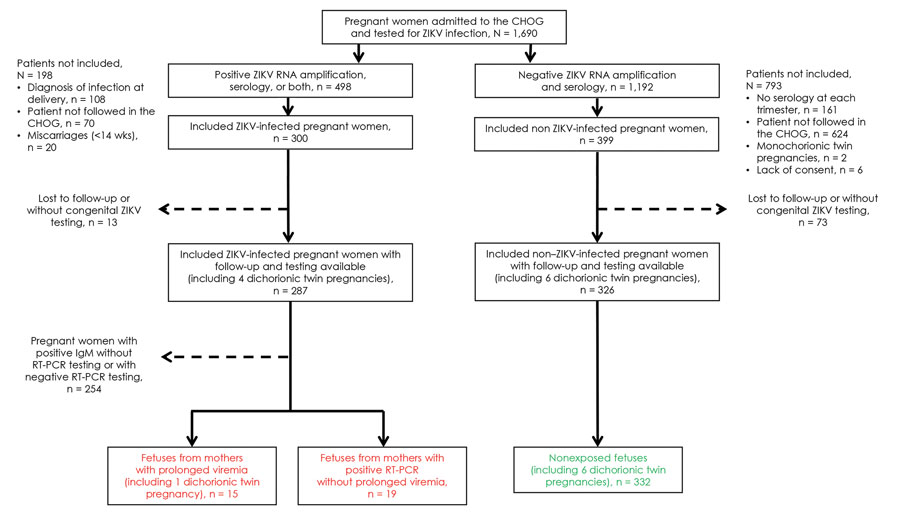Flowchart of pregnant women admitted to CHOG, French Guiana, January 1–July 15, 2016. All women were routinely tested for ZIKV-specific IgM and IgG in each trimester of pregnancy and at delivery. In cases of maternal symptoms, acute exposure in the previous 2 weeks, fetal anomalies, or if an amniocentesis was indicated, pregnant women were also tested for ZIKV RNA by RT-PCR in blood and urine. Patients with a positive RT-PCR result were offered to participate in the study and underwent monthly RT-PCR testing up to clearance or delivery. Prolonged viremia was defined as ongoing viral detection >30 days after symptom onset or after initial detection of viremia. Asymptomatic patients who remained negative for ZIKV IgM during the whole pregnancy were recruited and considered as non–ZIKV-infected. Patients with only positive IgM without or with a negative RT-PCR test result were excluded of this analysis because of the inability to accurately date the onset and clearance of viremia. Patients without appropriate monthly follow-up were also excluded from this study (e.g., those who had early miscarriages, late diagnosis of infection at delivery, or were not followed in our center after the diagnosis). After expulsion, fetal losses were tested by RT-PCR (as well as by IgM, if available). Fetuses with anomalies were tested by RT-PCR on amniotic fluid. Neonates were tested for ZIKV at birth (RT-PCR on placenta, urine, blood and IgM on blood [as well as on cerebrospinal fluid, if symptomatic]). Fetuses and neonates without appropriate testing and examination after fetal loss or birth were excluded from this analysis. Overall, 15 fetuses from 14 infected pregnant women with prolonged viremia (including 1 with a twin pregnancy), 19 fetuses from 19 infected pregnant women without prolonged viremia, and 332 fetuses from 326 noninfected pregnant women (including 6 with twin pregnancies) were included. CHOG, Centre Hospitalier de l’Ouest Guyanais (Saint-Laurent-du-Maroni, French Guiana); RT-PCR, reverse transcription PCR; ZIKV, Zika virus.