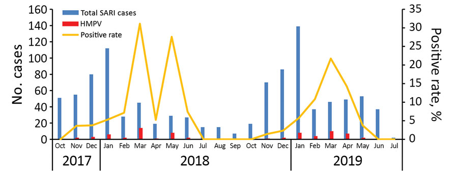 Distribution by month of SARI cases and HMPV-positive rates in Luohe, China, 2017–2019. HMPV, human metapneumovirus; SARI, severe acute respiratory infection.