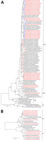 Phylogenetic tree generated by maximum-likelihood method of HMPV G gene sequences (red) from patients with SARI admitted to Luohe Central Hospital, Luohe, China, during October 2017–June 2019, and reference sequences (black). A) Phylogenetic tree for the representative viruses of subgroup A (A1, A2a, A2b and A2c), including 54 representative G gene sequences of HMPV from GenBank and 32 from this study. The strains with 111 nt duplication are indicated by blue triangles; strains with 180 nt duplication are indicated by red triangles. 0.05 scale bar represents 5% genetic distances for G genes (0.05 substitutions per site). B) Phylogenetic tree for the representative viruses of the B1 and B2 genotypes, including 12 representative entire coding regions of HPMV G gene sequences from GenBank and 11 from this study. The numbers at the branch nodes indicate the statistical significance, calculated with 1,000-replication bootstrapping. The nomenclature of HMPV in this study includes the following information: the source of sequences (“s” after HMPV indicates a specimen source of sequences; “i” indicates isolates), location where the viruses were detected (city, province, and country), and collection year. The GenBank accession number was added before the nomenclature of each sequence. 0.05 scale bar represents 5% genetic distances for G genes (0.05 substitutions per site). HMPV, human metapneumovirus. 