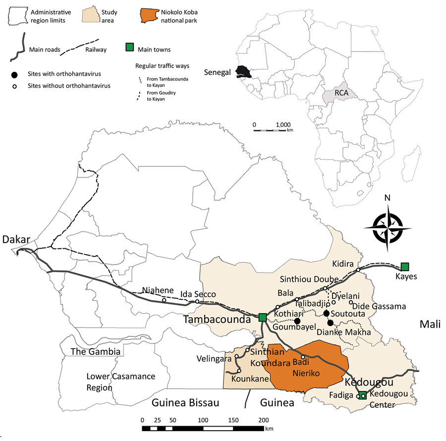 Locations of trapping sites (circles) used in study of rodentborne Seoul orthohantavirus in Senegal, 2012–2013. Black circles indicate trapping locations of Seoul orthohantavirus–infected black rats (Rattus rattus [family Murinae]). Inset shows location of Senegal in Africa. Map created using the package maptools installed in R studio version 1.2.1335 (https://rstudio.com/products/rstudio/) and shapefiles downloaded from the free domain of the Geographic Information System (http://www.diva-gis.o
