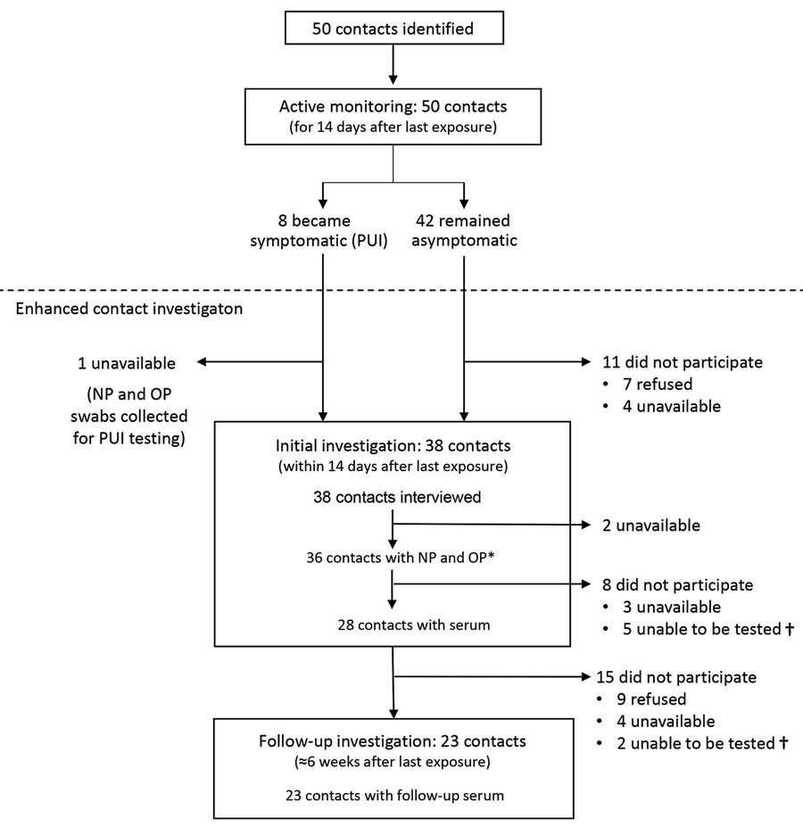 Contact investigation flowchart of identified contacts, active monitoring, and participation in the enhanced contact investigation of an early confirmed US coronavirus disease case, Washington, USA, 2020. NP, nasopharyngeal; OP, oropharyngeal; PUI, person under investigation. *Includes contacts from whom specimens obtained for PUI testing. †Specimens were unable to be tested if blood could not be obtained (n = 5) or if the standard specimen requirements for testing were not met (n = 2).
