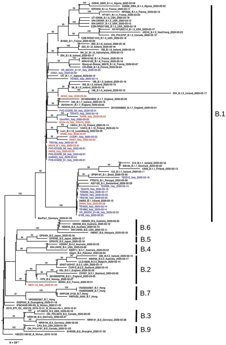 Phylogenetic analysis of 150 severe acute respiratory syndrome coronavirus 2 representative genome sequences, including genomes collected in Italy (blue) and sequences identified for this study at the National Institute for Infectious Diseases (red). Available genomes were retrieved from GISAID (https://www.gisaid.org) on April 10, 2020; we discarded sequences with low coverage depth (low amount of read sequenced) or low coverage length (not complete genome sequences). Representative sequences f