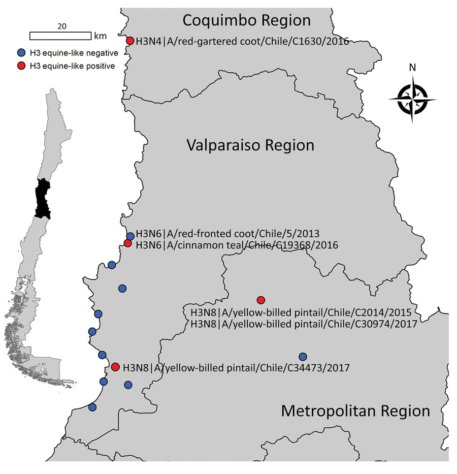 Central region of Chile showing where different equine-like H3Nx influenza viruses were obtained (red dots). Blue dots indicate other avian influenza virus surveillance sites. Isolate names and subtypes are indicated. Inset map indicates location of study area within Chile.