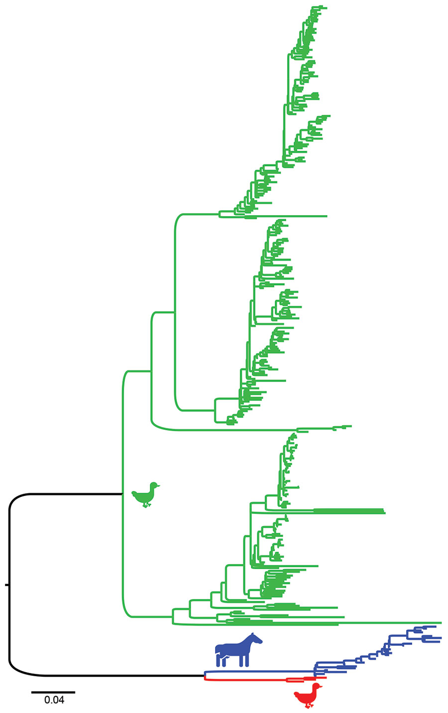 Maximum-likelihood phylogenetic tree showing the relationship between equine influenza (H3N8) viruses (blue), equine-like avian influenza viruses (AIVs) from Chile (red), and AIVs from other locations (green) for the H3 gene fragment. Scale bars indicate average nucleotide substitutions per site. A complete tree, taxon identification, and bootstrap support are shown in Appendix Figure 1.