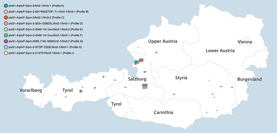 Pertussis cases by district of residence of case-patient and genetic profile of the corresponding Bordetella pertussis isolate identified in a B. pertussis isolate–based surveillance study, Austria, May 2018–May 2020. Each dot represents 1 case. Cases grouping next to each other belong to the same district. To protect patient confidentiality, only states and not districts are labeled.