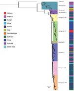 Phylogenetic tree of 298 complete viral protein 1 sequences of echovirus 30 (876 nt) isolated from cerebrospinal fluid samples of patients with suspected central nervous system infection, Vietnam, December 2012–October 2016. The inner color strip indicates 7 genogroups. The outer colorstrip indicates different countries of echovirus 30 isolates included in the tree. The outgroup is echovirus 21 Farina.
