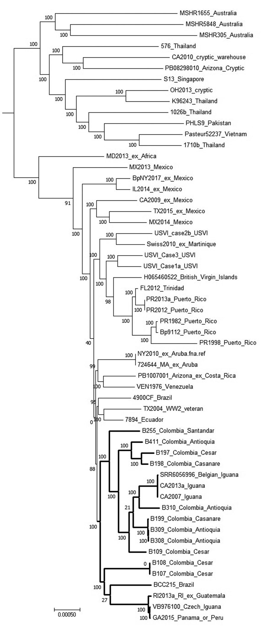 Dendrogram used for characterization of Burkholderia pseudomallei genomes from Colombia compared with reference genomes. Tree was generated in MEGA7 software (http://www.megasoftware.net) from results of maximum-parsimony phylogenetic analysis of core single-nucleotide polymorphisms conducted by using Parsnp, a component of the Harvest 1.3 software suite (https://github.com). Bold branches indicate the subclade containing the examples from Colombia along with reference genomes that group with them. Isolates from Colombia also include the department where they originated. Scale bar indicates number of substitutions per single nucleotide polymorphism.