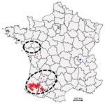Distribution of highly pathogenic avian influenza H5N8 cases, France, 2016–17 (database of the French National Reference Laboratory for Avian Influenza). Blue indicates cases in wild birds; red indicates cases in domestic or captive birds. Dashed circles indicate zones of high duck farm density (34).