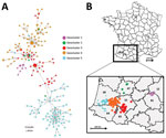 Minimum spanning tree and map of clusters of highly pathogenic avian influenza H5N8 genotype A viruses, France, 2016–17. A) Geographic clusters. Number of dashes indicates the number of observed mutations between 2 nodes. Circle size corresponds to the number of identical sequences. B) Geographic repartition of genotype in southwestern France. Inset shows identification numbers of affected departments: 12, Aveyron; 31, Haute-Garonne; 32, Gers; 47, Lot et Garonne; 40, Landes; 64, Pyrénées-Atlantiques; 65, Hautes-Pyrénées. Trees created using PopART (32).