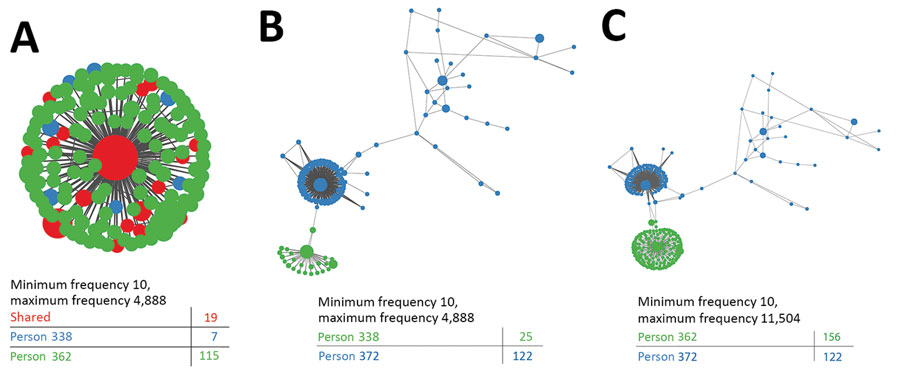 Hepatitis C virus (HCV) transmission network among persons in public health and corrections settings, Wisconsin, USA, 2016–2017, showing intrahost genetic heterogeneity within 1 representative transmission cluster. K-step network contains all possible minimum spanning trees and enables efficient visualization of genetic relatedness among all intrahost hypervariable region 1 (HVR1) variants for persons 338 and 362 (A), persons 338 and 372 (B), and persons 362 and 372 (B). Each node represents an HCV sequence, and the color of the node corresponds to the sample of origin: red, variant found in both samples; green, variant found only in the first sample; blue, variant found only in the second sample. Node size is based on frequency of the HVR1 variant, and edge length is proportional to the modified Hamming distance (does not count positions with insertions or deletions as differences).